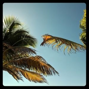 Meet your Posher, Destiny